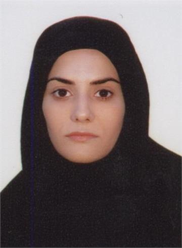 محبت محبی